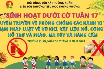 SINH HOẠT DƯỚI CỜ TUẦN 17