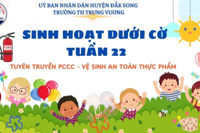 SINH HOẠT DƯỚI CỜ TUẦN 22